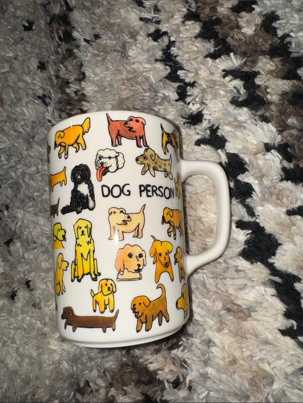 Fishs Eddy Ben Lenovitz Dog Person Mug
